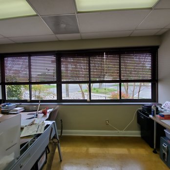 Ecofree - Office Cleaning Near Me