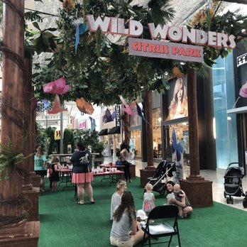 Citrus Park - Wild wonders decorations - Shopping Centers Near Me - Tampa, Florida