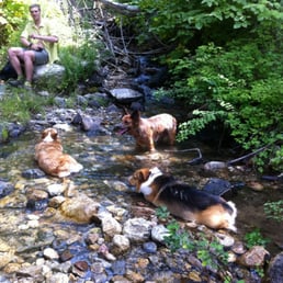 Chelan Lakeshore Trail - Cooling spot - Hiking Near Me - Chelan, Washington