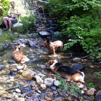 Chelan Lakeshore Trail - Cooling spot - Hiking Near Me