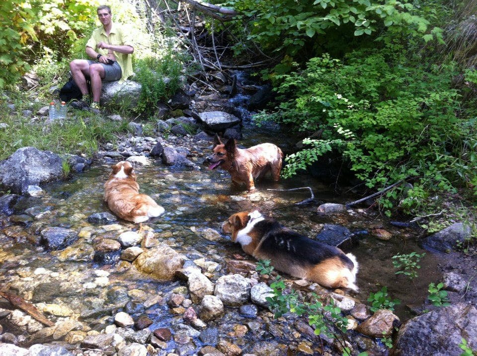 Chelan Lakeshore Trail - Cooling spot - Hiking Near Me - Chelan, Washington Chelan Lakeshore Trail - Cooling spot - Hiking Near Me - Chelan, Washington