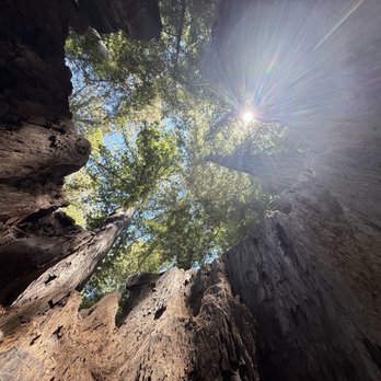 Shrine Drive Thru Tree - Landmarks & Historical Buildings Near Me - Meyers Flat, California