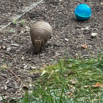Maryland Zoo in Baltimore - Zoos Near Me - Baltimore, Maryland