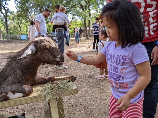 Sweet Eats Adventure Farm & Petting Zoo by null