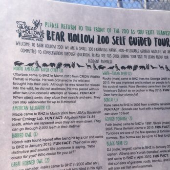 Zoo-Bear Hollow Wildlife Trail - Zoos Near Me - Athens, Georgia