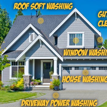 Chicago Racoons - Pressure Washers Near Me Chicago Racoons - Pressure Washers Near Me