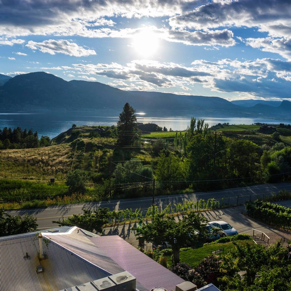 Hillside Winery - Wineries Near Me - Penticton, British Columbia