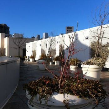 Sky Terrace - Local Flavor Near Me - San Francisco, California Sky Terrace - Local Flavor Near Me - San Francisco, California