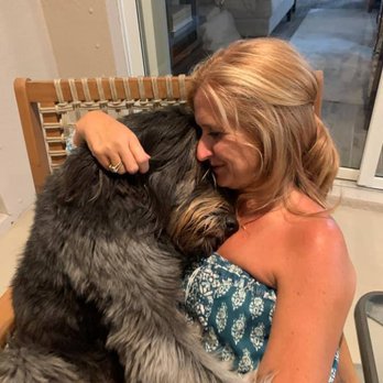 Paaws - Emma giving a big hug to her former foster. - Animal Shelters Near Me Paaws - Emma giving a big hug to her former foster. - Animal Shelters Near Me