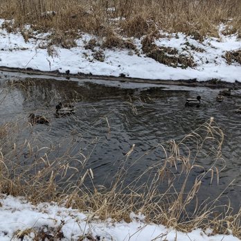 Bloomer Park - Parks Near Me - Rochester Hills, Michigan
