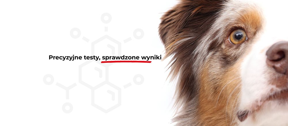 LABOKLIN POLSKA - WETERYNARYJNE LABORATORIUM DIAGNOSTYCZNE - Updated ...