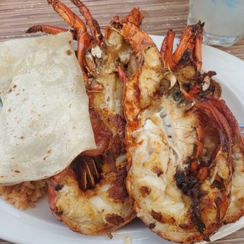 Splash Baja - Lobster tail plate - Mexican Near Me - Primo Tapia, BCN Splash Baja - Lobster tail plate - Mexican Near Me - Primo Tapia, BCN