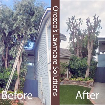 Orozco's Lawncare Solutions - Lawn Services Near Me Orozco's Lawncare Solutions - Lawn Services Near Me