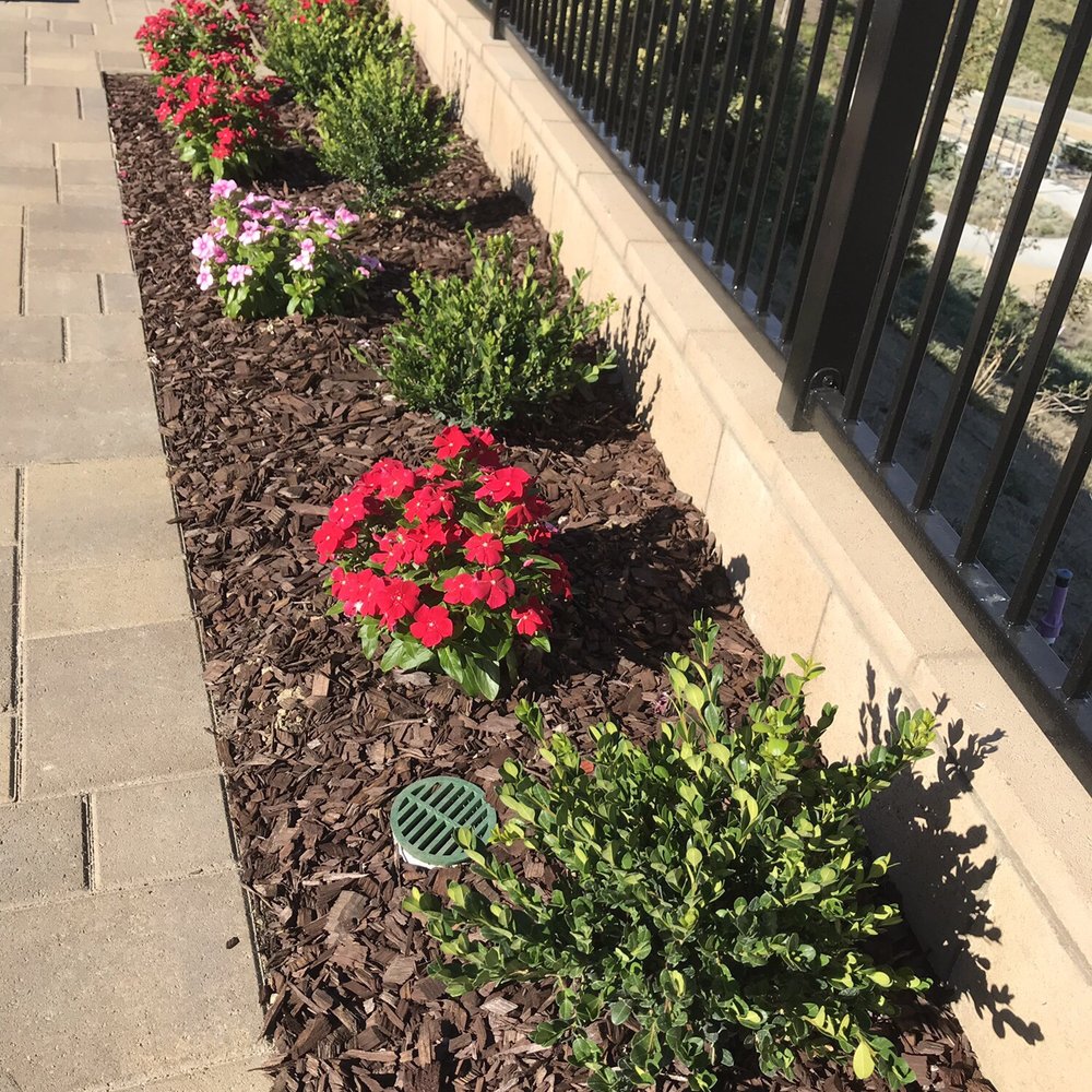 Alliance Landcare - Landscaping Near Me Alliance Landcare - Landscaping Near Me