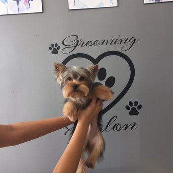 Grooming Tails - Pet Groomers Near Me - Spring, Texas Grooming Tails - Pet Groomers Near Me - Spring, Texas