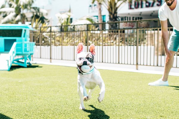 Paséa Hotel & Spa by null