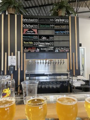 BabyCat Brewery by null