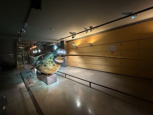 Gallery of Evolution by null