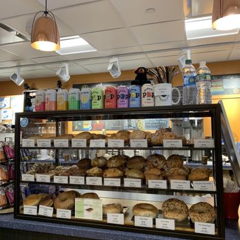 Black Bear Cafe - Pastries - Cafes Near Me - Belmont, Massachusetts Black Bear Cafe - Pastries - Cafes Near Me - Belmont, Massachusetts