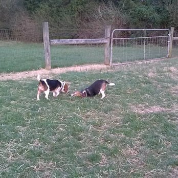 Murfreesboro Bark Park - Dog Parks Near Me - Murfreesboro, Tennessee Murfreesboro Bark Park - Dog Parks Near Me - Murfreesboro, Tennessee