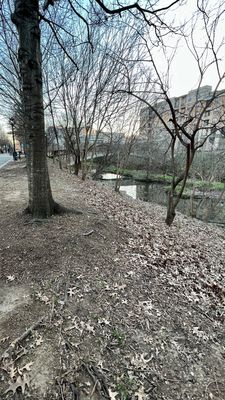 Little Sugar Creek Greenway by null