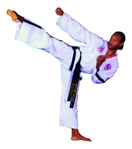 Allen's Red Tiger Taekwon-DO Logo
