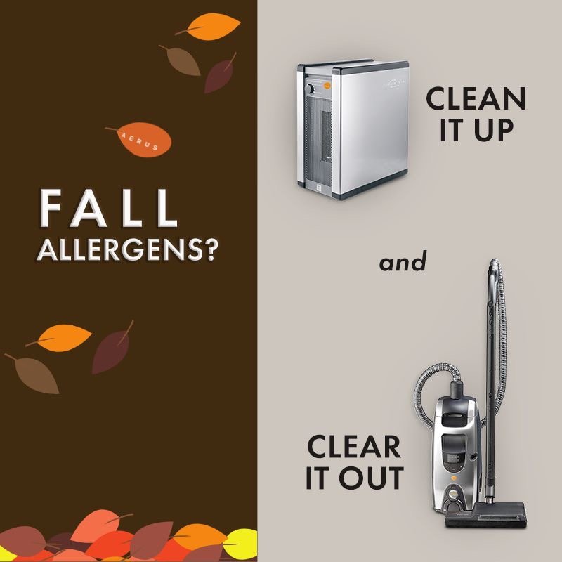 AERUS Updated October 2024 23862 State Rte 126, Watertown, New York