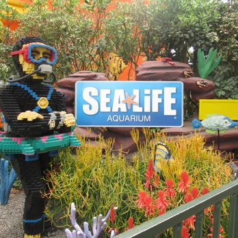 Sea Life Aquarium - Aquariums Near Me - Carlsbad, California Sea Life Aquarium - Aquariums Near Me - Carlsbad, California