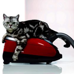 Carolina Vacuums & More