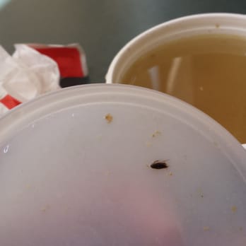 Dynasty BBQ - cockroach in the soup - Chinese Near Me - Mississauga, Ontario
