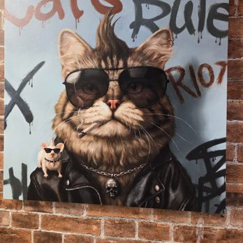 MeowTown Cat Lounge - Pet Adoption Near Me - McLean, Virginia