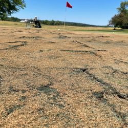 Par Line Golf Course - Cracked Greens