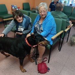 Spirit Mountain Animal Hospital - This is my boy Bentley.  My friends and I all watched him spasm in death. And yet I didn't deserve a callback when I asked for it.