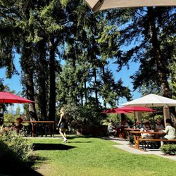 Crow & Gate Pub - Garden seating