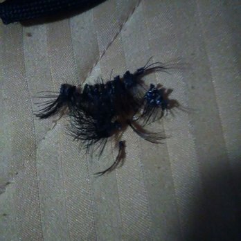 Michelle's Nail Plus - Whole row came off together. #soft glue ????? - Eyelash Service Near Me - San Francisco, California