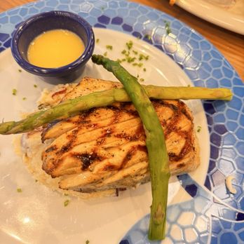 Ford’s Fish Shack - Mahi Mahi with mashed potatoes and lemon caper sauce. (Daily special) - Seafood Near Me - Chantilly, Virginia Ford’s Fish Shack - Mahi Mahi with mashed potatoes and lemon caper sauce. (Daily special) - Seafood Near Me - Chantilly, Virginia