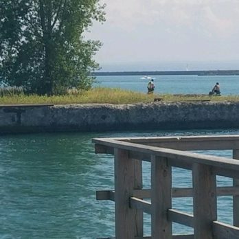 Buffalo Outer Harbor - Now that is one resilient tree. - Music Venues Near Me - Buffalo, New York Buffalo Outer Harbor - Now that is one resilient tree. - Music Venues Near Me - Buffalo, New York