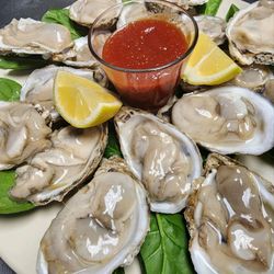 Roberto Italian Restaurant - fresh oysters on half shell