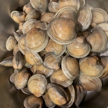Lucky Fish Seafood - Little Neck Clams - Seafood Markets Near Me - Charlotte, North Carolina Lucky Fish Seafood - Little Neck Clams - Seafood Markets Near Me - Charlotte, North Carolina