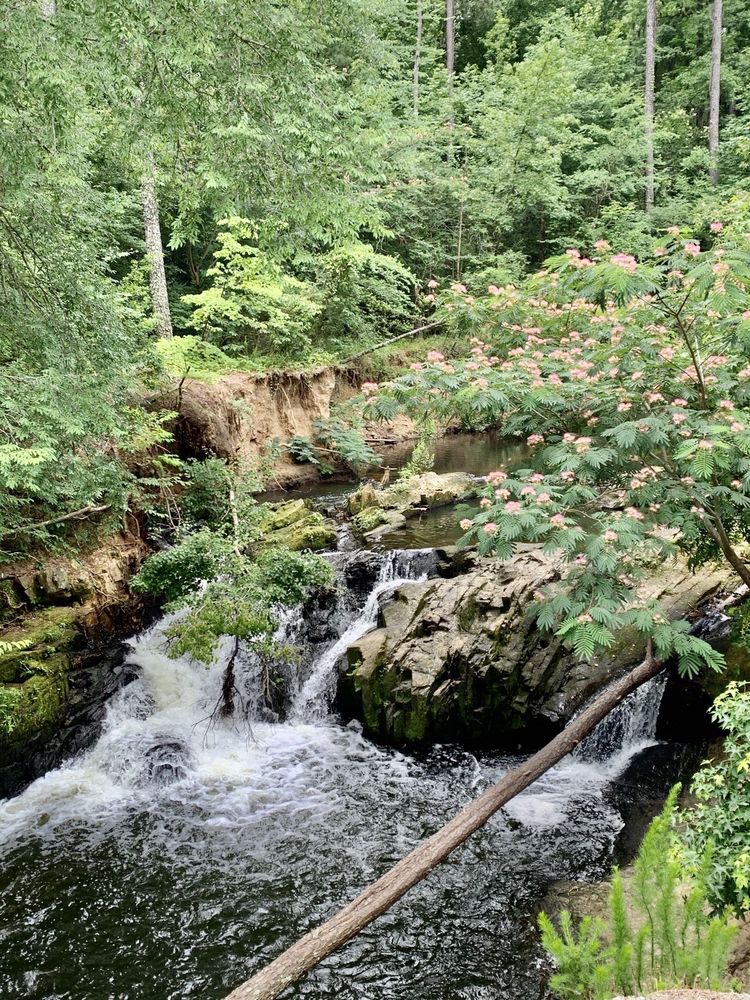 AUGUSTA CANAL LAKE OLMSTEAD TRAILHEAD Updated May 2024 82 Photos