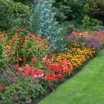 Pacific Landcare Group - Bark - Landscaping Near Me - Bremerton, Washington Pacific Landcare Group - Bark - Landscaping Near Me - Bremerton, Washington