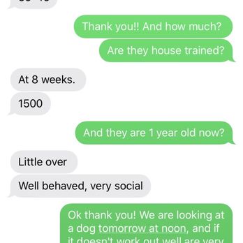 McCumberhaus - Rude owners - Pet Breeders Near Me McCumberhaus - Rude owners - Pet Breeders Near Me