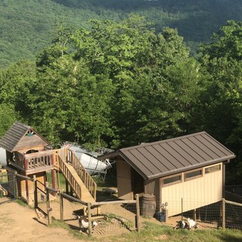 Fainting Goat Vineyards - Goats - Wineries Near Me - Jasper, Georgia