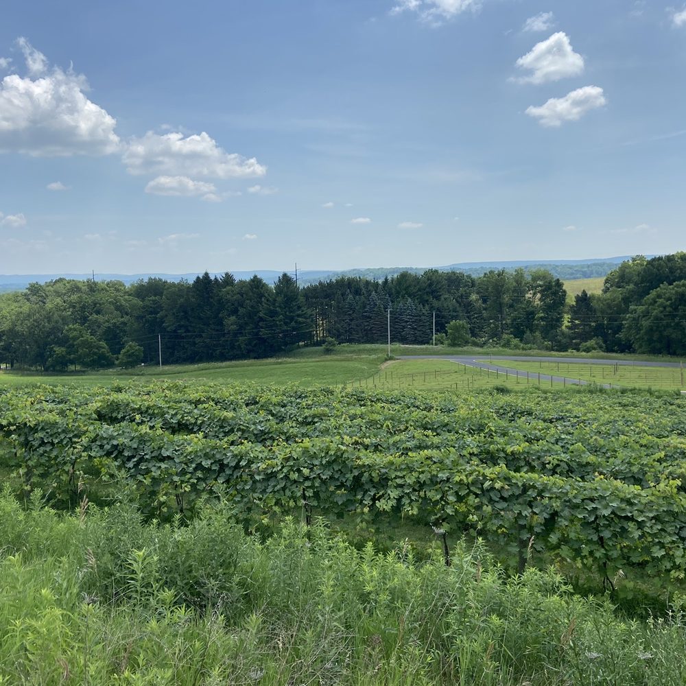Baraboo Bluff Winery - Wineries Near Me - Baraboo, Wisconsin Baraboo Bluff Winery - Wineries Near Me - Baraboo, Wisconsin