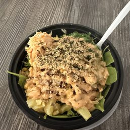 Regular Bowl Regular Bowl