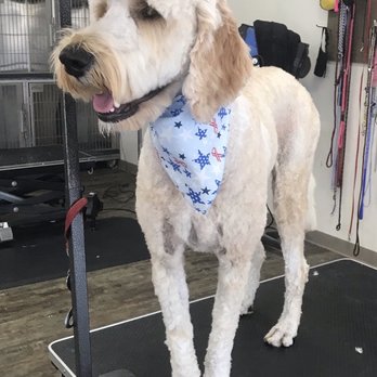 Deb's Bark Avenue Grooming - Pet Groomers Near Me - Fortuna, California Deb's Bark Avenue Grooming - Pet Groomers Near Me - Fortuna, California