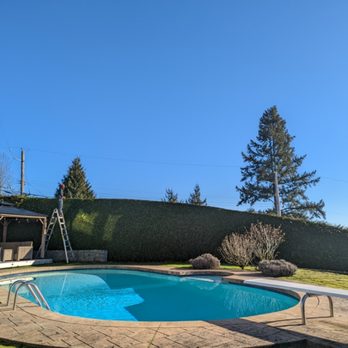 Green Barber - Tree Services Near Me
