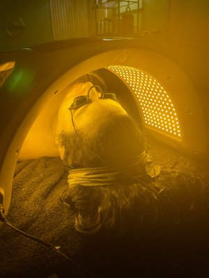 BOMBSHELL NUDE STUDIO - Updated January 2026 - 12 Photos - 4937