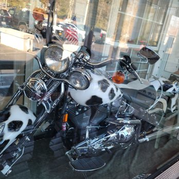 Maureen's Kitchen - Cow print motorcycle - Breakfast & Brunch Near Me - Smithtown, New York