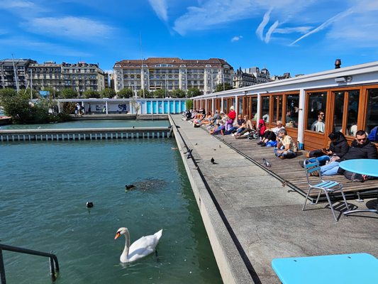 Buvette des Bains by null